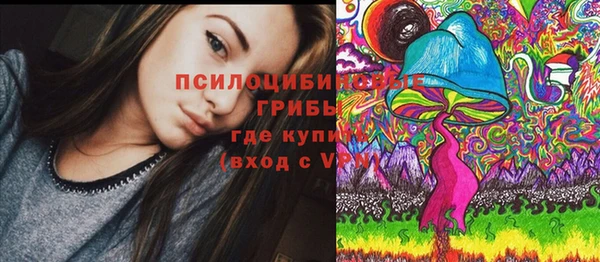 соль курить ск Горнозаводск
