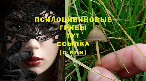 мдма Горно-Алтайск