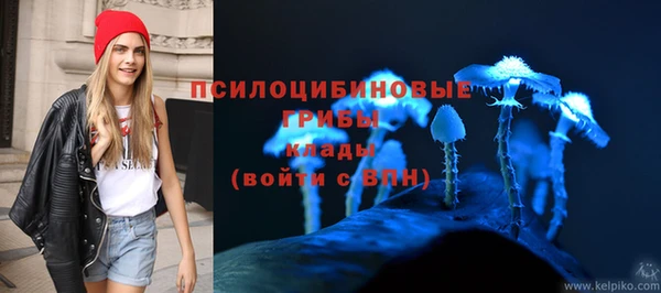 МДМА Гусев