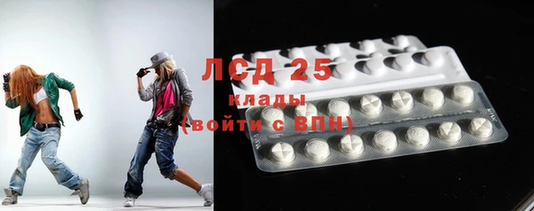 шишки Магас