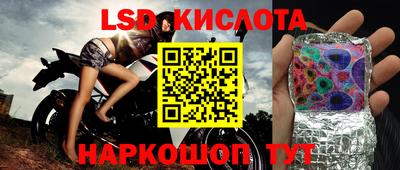 спиды Кандалакша