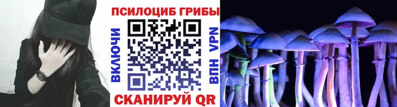 Галлюциногенные грибы Psilocybe Наро-Фоминск