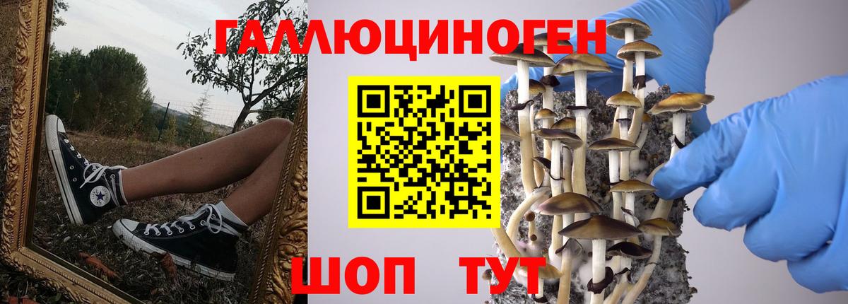 Псилоцибиновые грибы GOLDEN TEACHER Наро-Фоминск