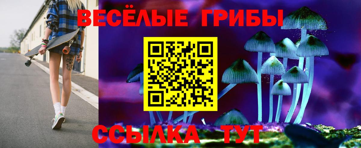 Галлюциногенные грибы MAGIC MUSHROOMS  магазин продажи наркотиков  Псилоцибиновые грибы мухоморы  Наро-Фоминск  Вход с VPN 