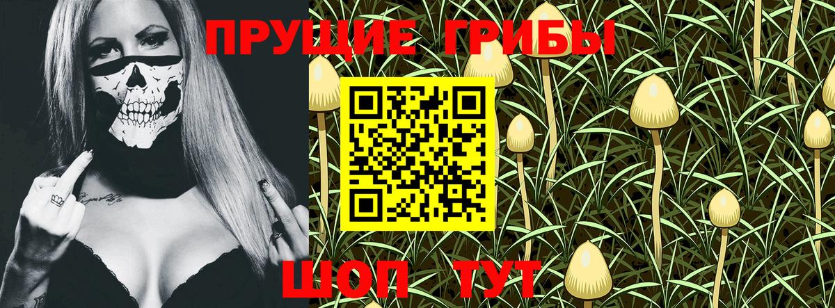 Галлюциногенные грибы Psilocybe  Галлюциногенные грибы GOLDEN TEACHER  Наро-Фоминск 